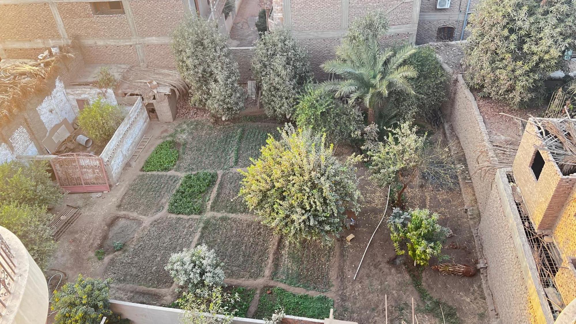 Masa House Leilighet Luxor Eksteriør bilde